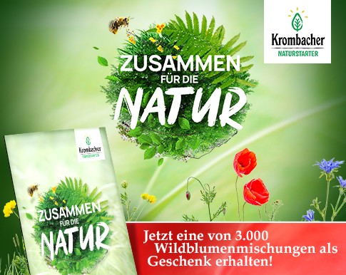 Gratis Blumensamen 19 Bei Krombacher Samentutchen Anfordern