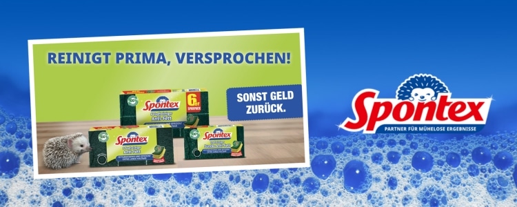 Spontex Topfreiniger unverbindlich testen