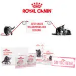 Royal Canin Willkommensbox Kitten