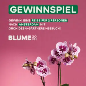 Blume200 Gewinnspiel; Orchideen