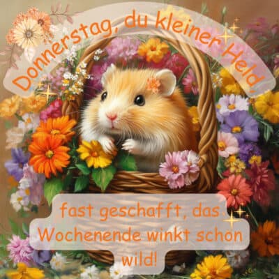 Wochenende Bilder donnerstag; Hamster 