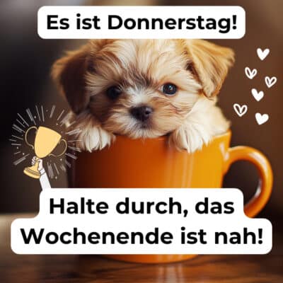 Guten Morgen Donnerstag Bild kostenlos; Hund, niedlich; Tasse; Herzen