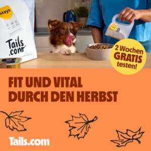 tails.com gratis Hundefutter