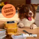 4 Wochen gratis Hundefutter von tails.com