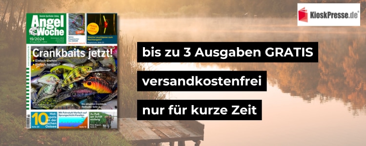 Magazin "AngelWoche"; Logo von Kioskpresse; bis zu 3 Ausgaben gratis