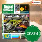 AngelWoche gratis testen – 1