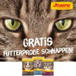 Katzenfutter von Josera; Futterproben