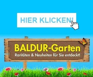 Baldur Garten Balkon Gutschein Und Gratis Aktion Kostenlos De